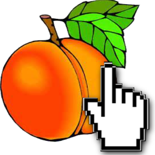 Peachtree Interactive, Inc.